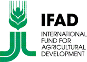 logo IFAD